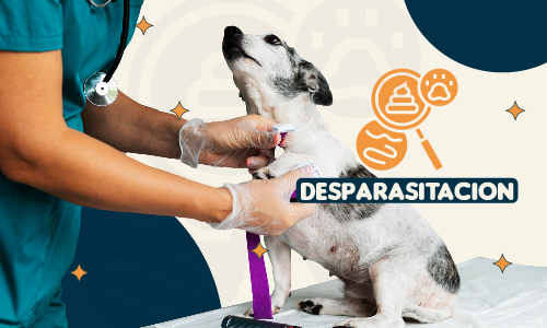 Desparacitación